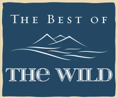 Th eBest Of The Wild Logo